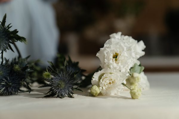 Dusky Blooms